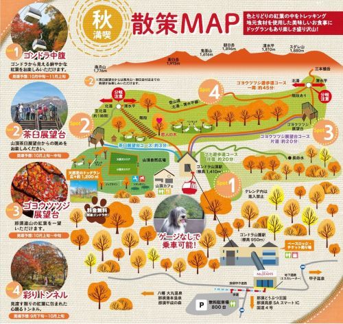 秋の散策MAP