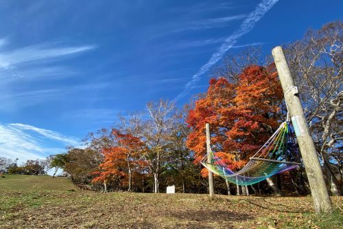 各所にハンモックを設置