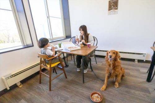 〇愛犬と一緒に食事