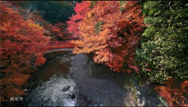 西明寺