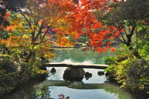 紅葉イメージ（六義園）