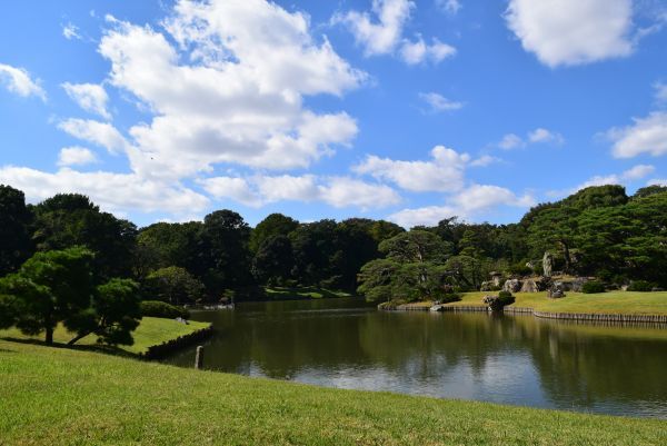 六義園の風景