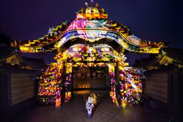 NAKED FLOWERS 2022 秋 世界遺産・二条城