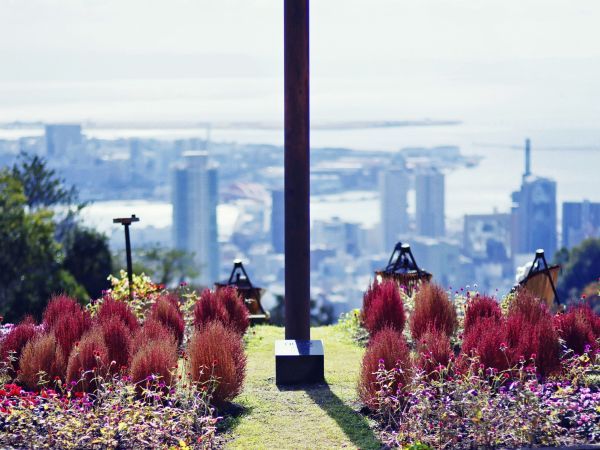 風の丘芝生広場