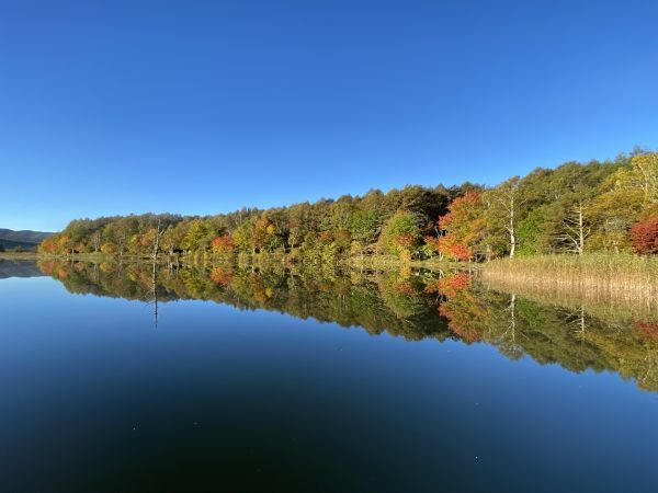 女神湖と紅葉