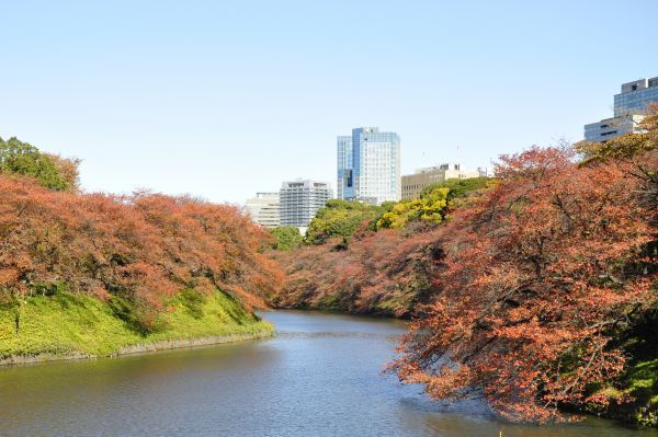 千鳥ヶ淵緑道