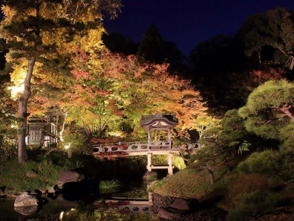 三渓園の紅葉