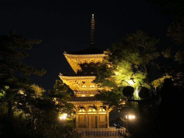 三渓園の紅葉ライトアップ