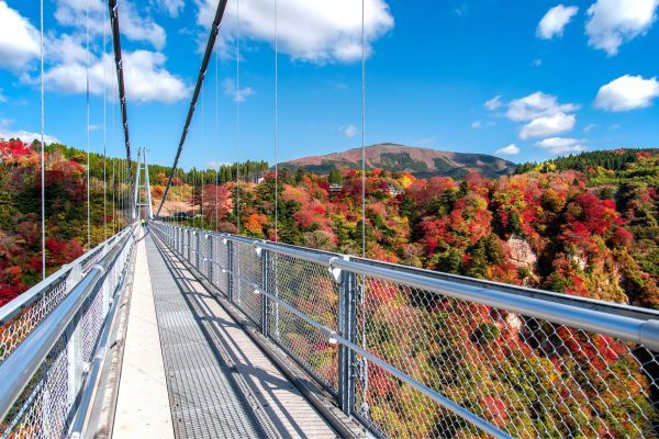 ▲九重“夢”大吊橋と鳴子川渓谷。夏は新緑、秋は紅葉、冬は雪景色を楽しむことができる。