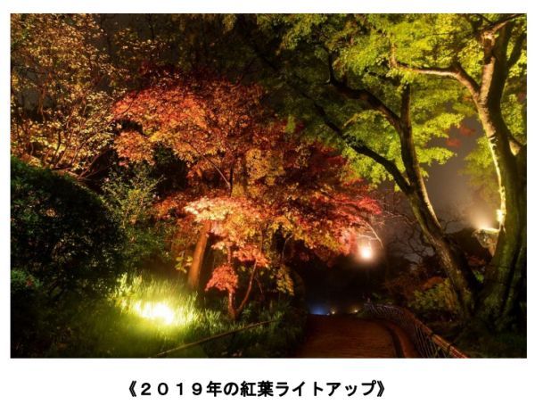 京王百草園紅葉ライトアップ 2019年