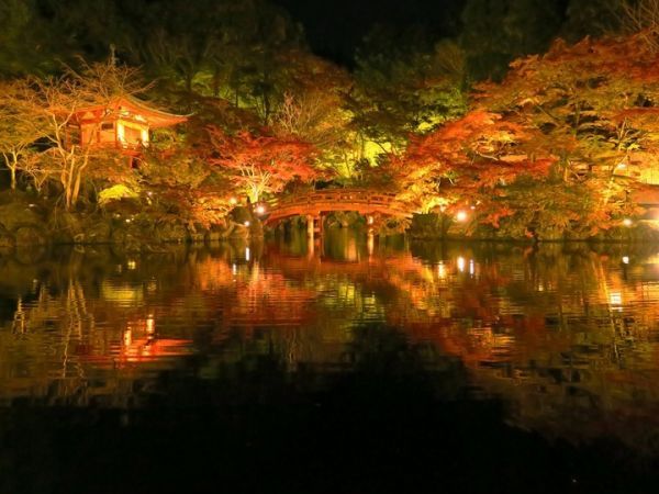 弁天池の夜景