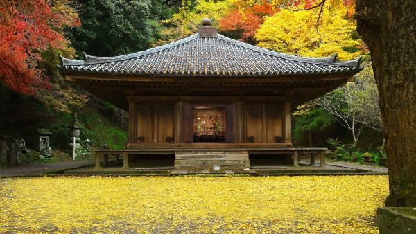 国宝富貴寺大堂