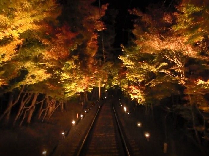 「紅葉ライトアップ特別列車」のイメージ もみじのトンネル車窓