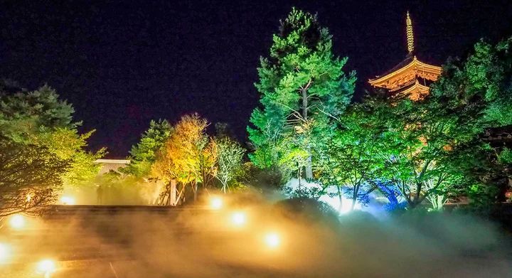 仁和寺の秋季紅葉ライトアップ3