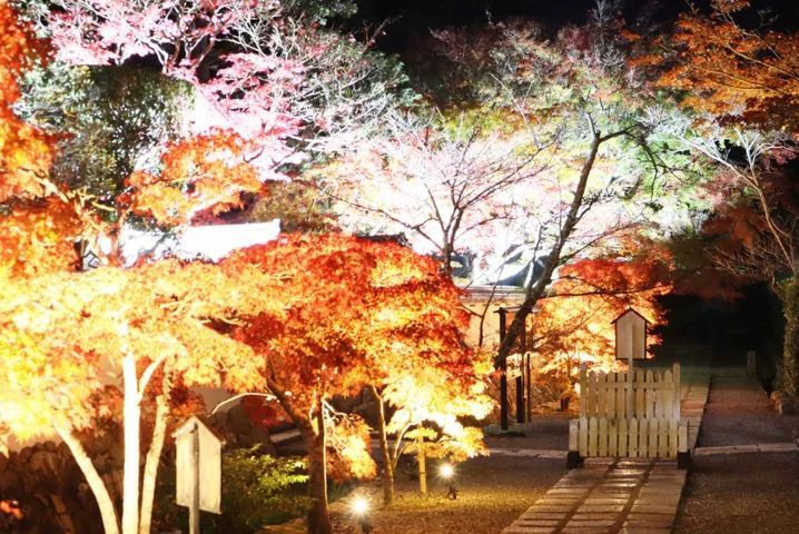 満願寺「宵の紅葉」