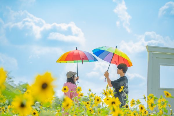 SNS映えする写真の撮影に