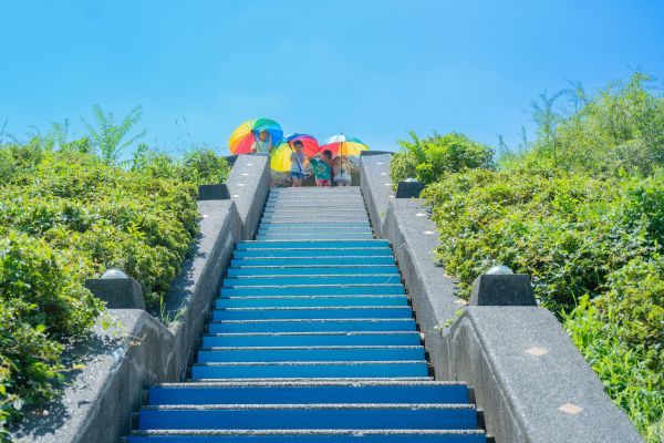 こどもの森 月の丘にある「そらいろ階段」