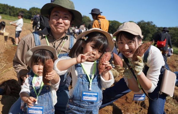 さつまいも収穫体験イメージ