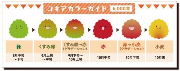 カラーガイド内の時期は例年の目安です。最新の開花情報は公園ホームページもしくはSNSをチェック！