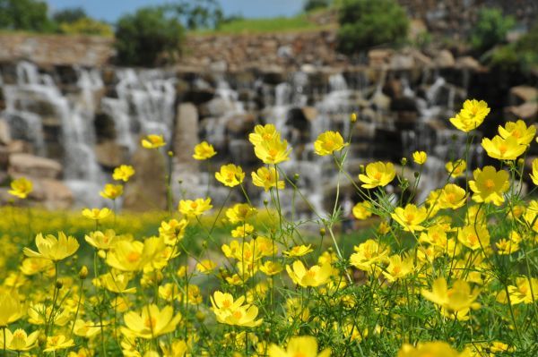 青竜の谷では昇竜の滝を背景に撮影するのがスタッフいちおしです！