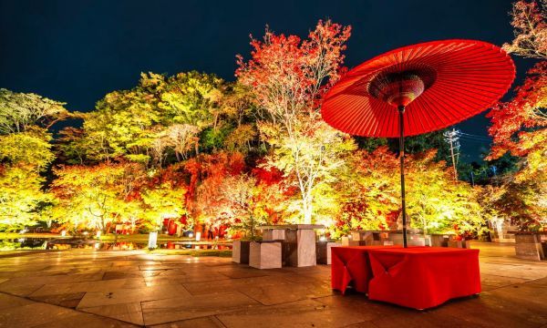 宮城県松島離宮 紅葉ライトアップ2024イメージ１