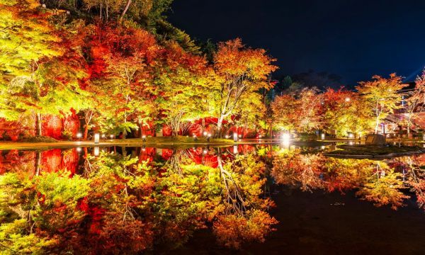 宮城県松島離宮 紅葉ライトアップ2024イメージ２