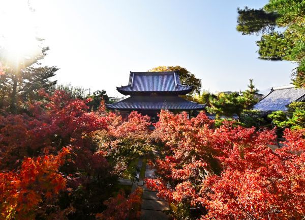 興聖寺（織部寺）イメージ1