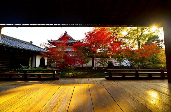 興聖寺（織部寺）イメージ3