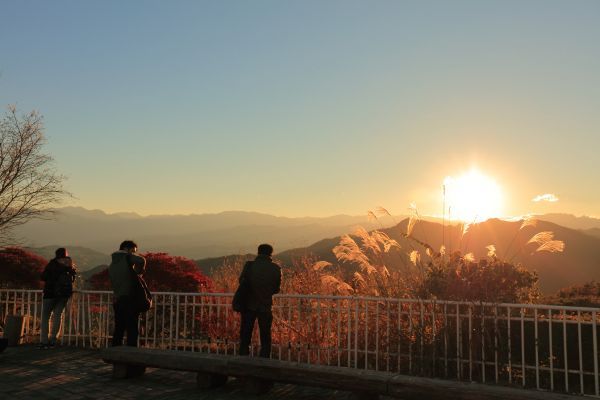 宝登山山頂イメージ