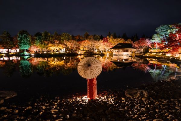 秋の夜散歩2024イメージPhoto by Narahashi Ken