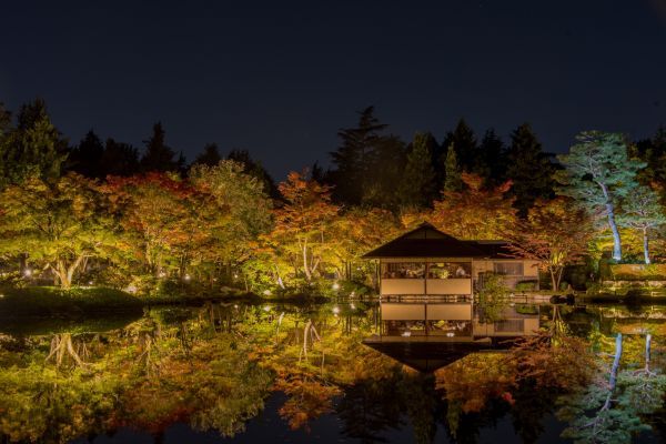 水面に映る紅葉の様子も、その美しさを引き立てます