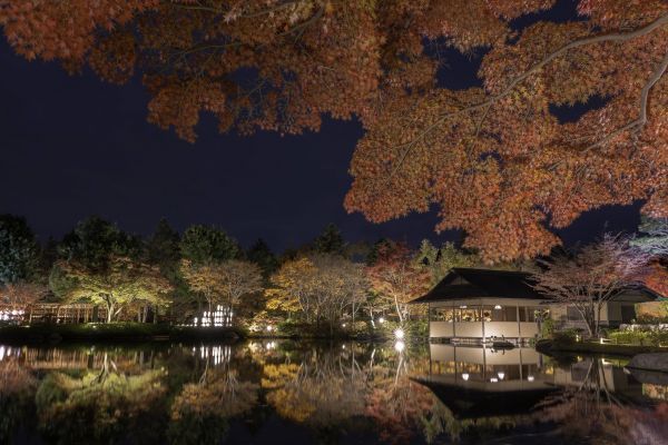 日本庭園のライトアップPhoto by Tajima Ryo