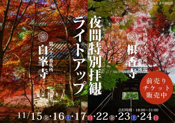 幻想的な夜景と秘宝の競演 白峯寺根香寺夜間特別拝観ライトアップ