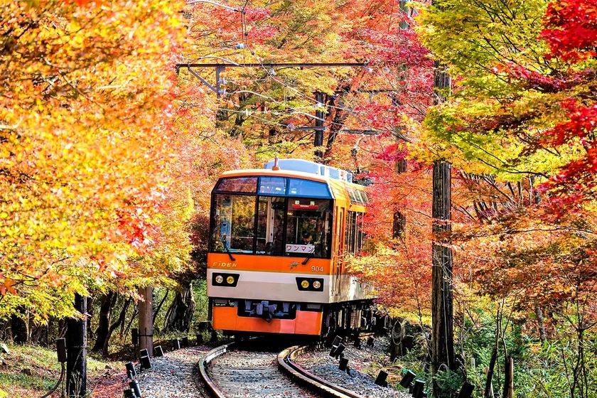 叡山電車：もみじのトンネルを走る展望列車「きらら」