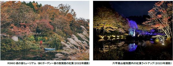 六甲高山植物園 六甲山の紅葉