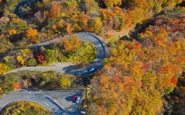 日光市内の紅葉イメージ