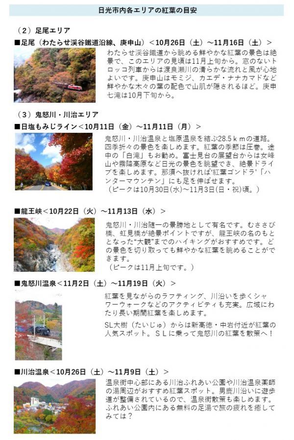 日光市内各エリアの紅葉の目安イメージ2