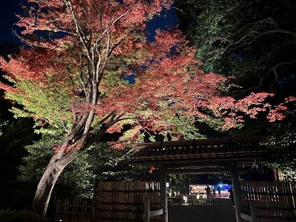 六義園　夜間特別観賞