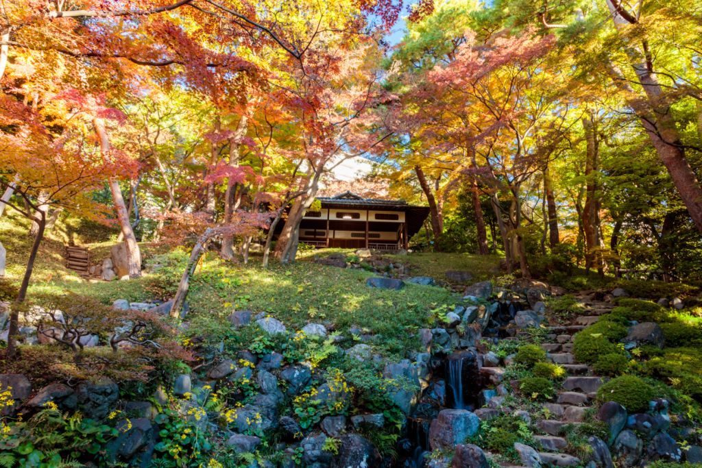 過去の紅葉の様子（紅葉亭）