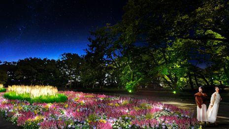 宿根草園のライトアップ