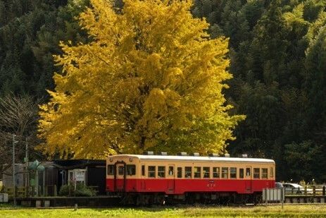 小湊鐵道「上総久保駅」