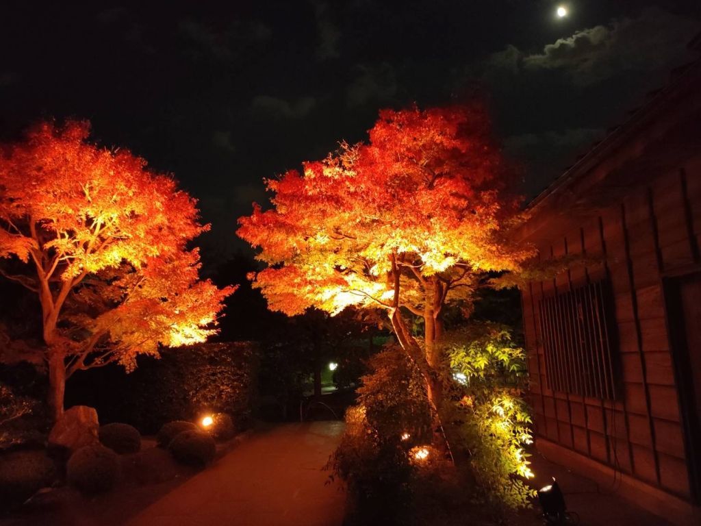 山本亭・柴又公園ライトアップ