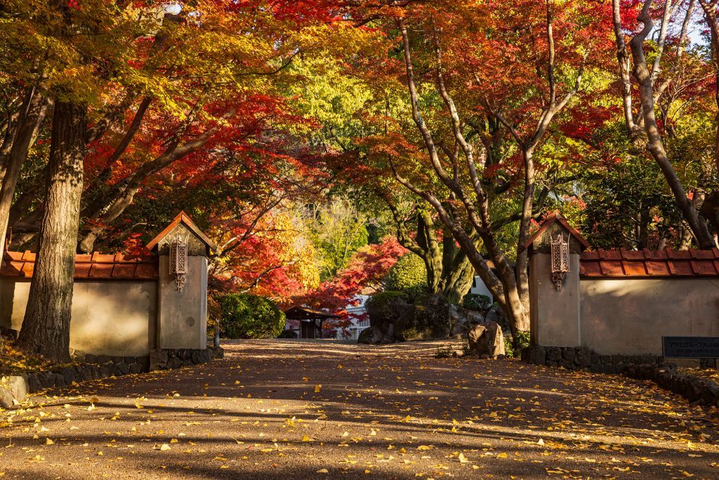 アサヒグループ大山崎山荘美術館の紅葉3