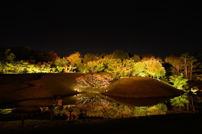 梅小路公園「朱雀の庭」の紅葉まつり2