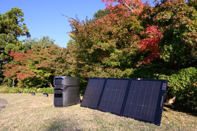 梅小路公園「朱雀の庭」の紅葉まつり3