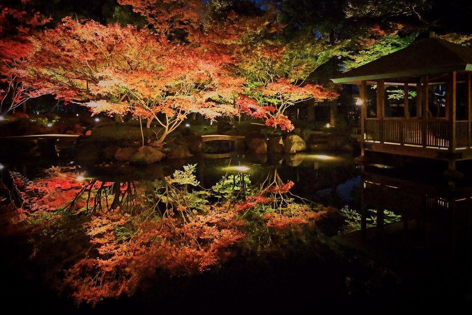 大田黒公園紅葉ライトアップ