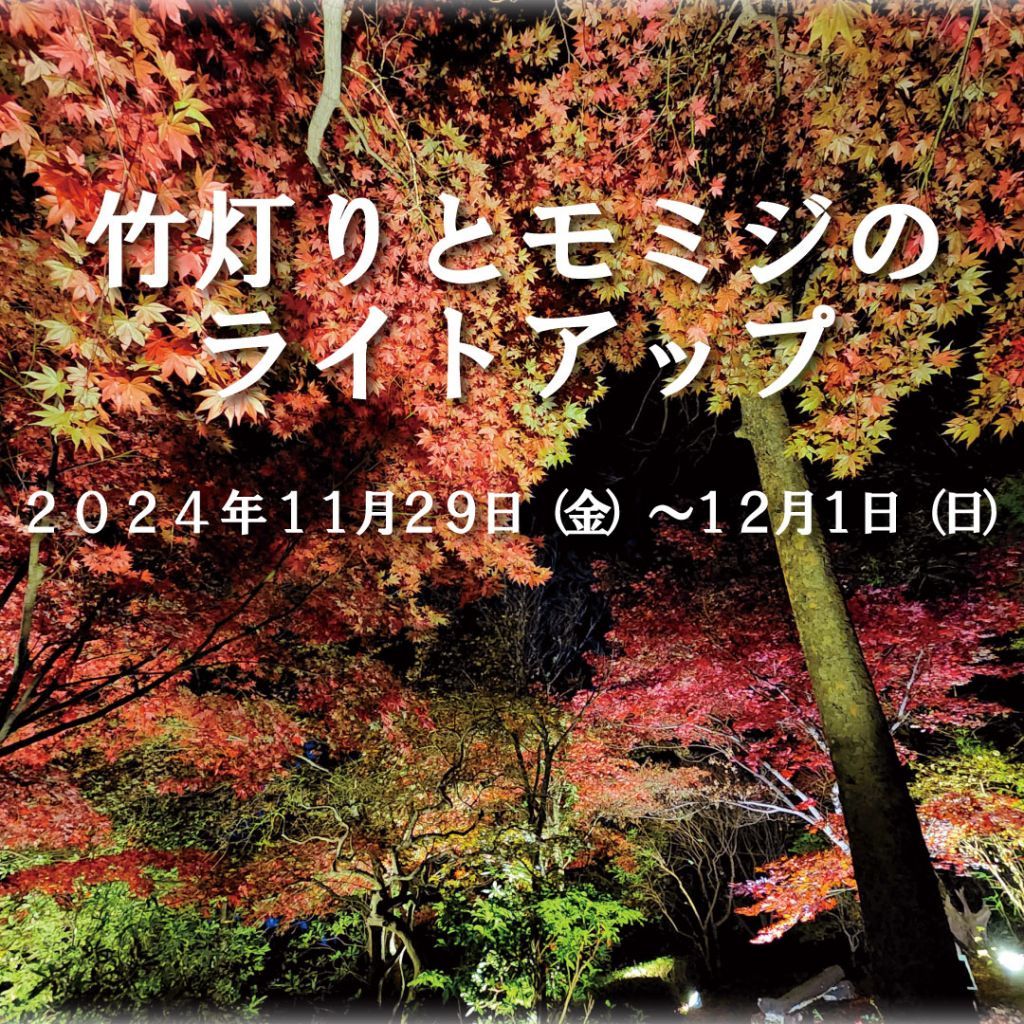 大阪府立花の文化園紅葉ライトアップ