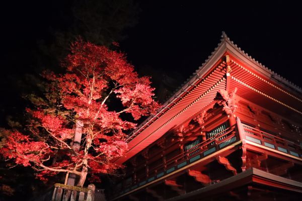 ▲厳かに輝く日光山輪王寺　大護摩堂