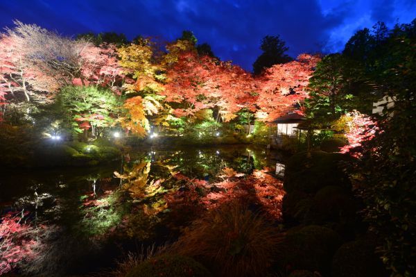 ▲水鏡に映える幽玄な日光山輪王寺　逍遥園