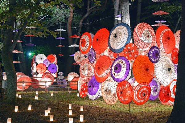 ▲和傘が灯す幻想のひととき